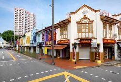 Serangoon Road (D8), Shop House #577736431